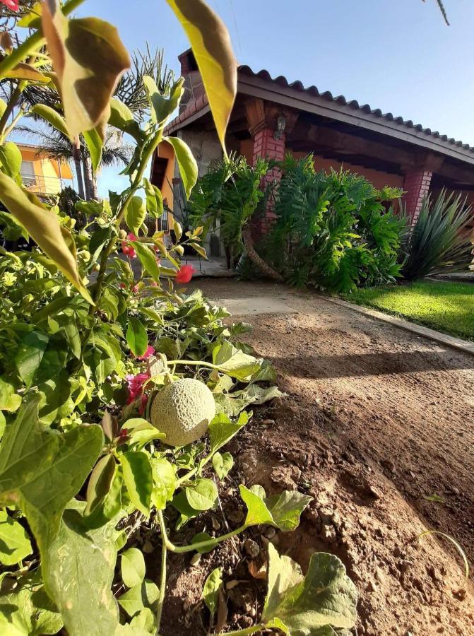 Hostel Rancho El Campanario En La Ruta Del Vino Valle de Guadalupe Exterior foto